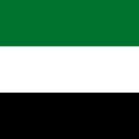 UAE FLAG